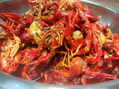學(xué)做小龍蝦技術(shù)做法哪里比較好？
