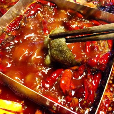成都火鍋培訓(xùn)多少錢？ 成都火鍋培訓(xùn)多少錢？
